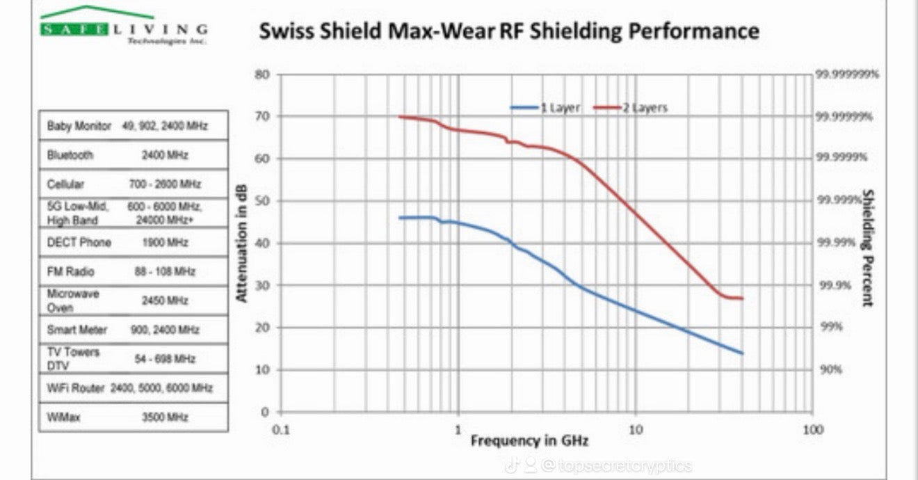 Cuddly EMF Hooded Blanket