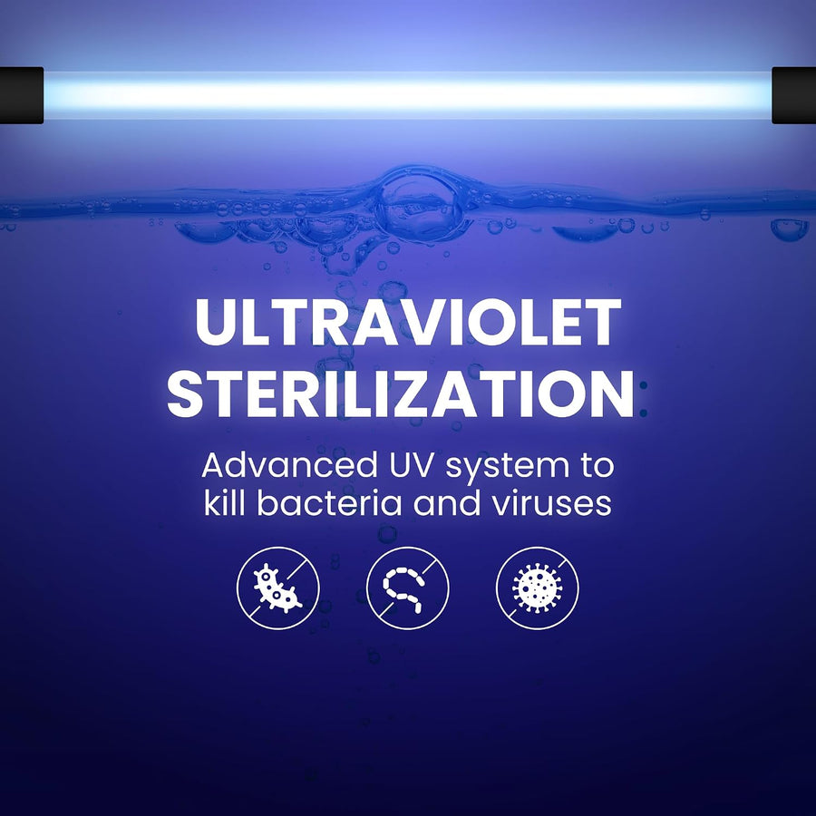 Infrastructural Independence and Cellular Vitality: Why Sourcing Clean Water Is the True Foundation of Health