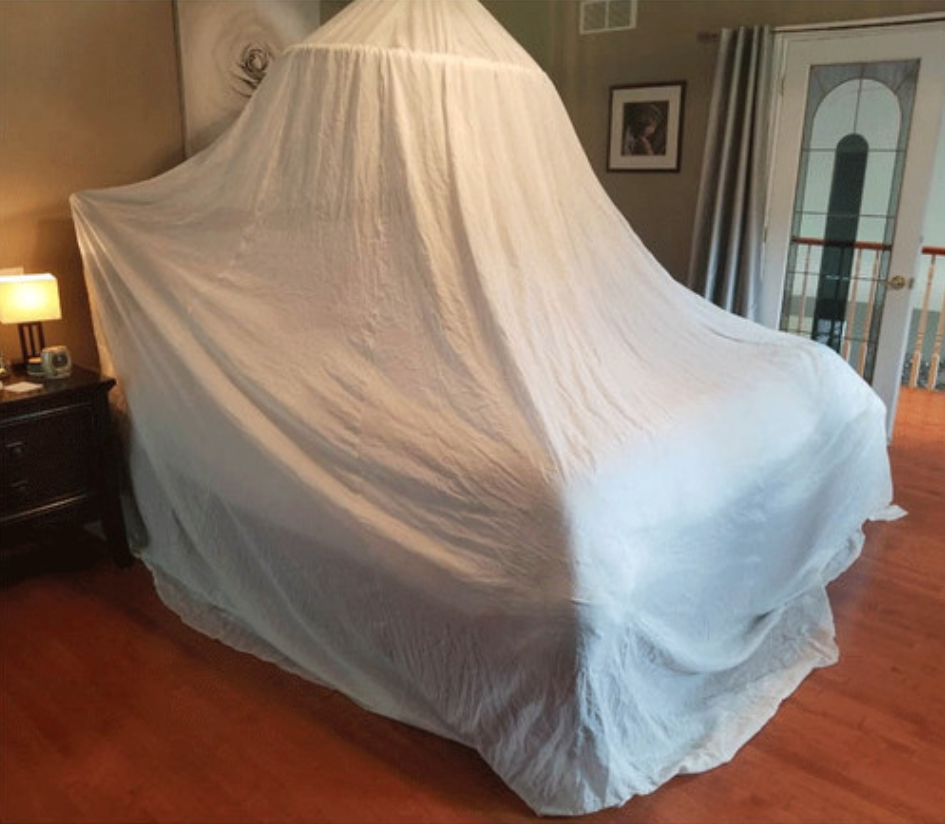 Traveling Swiss Shield Naturell Canopy; 5G Protection Everywhere you go